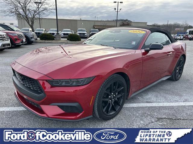 Certified 2024 Ford Mustang Premium image 8