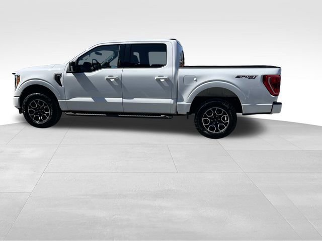 Certified 2023 Ford F150 XLT w/ Equipment Group 302A High AWD/4WD image 6
