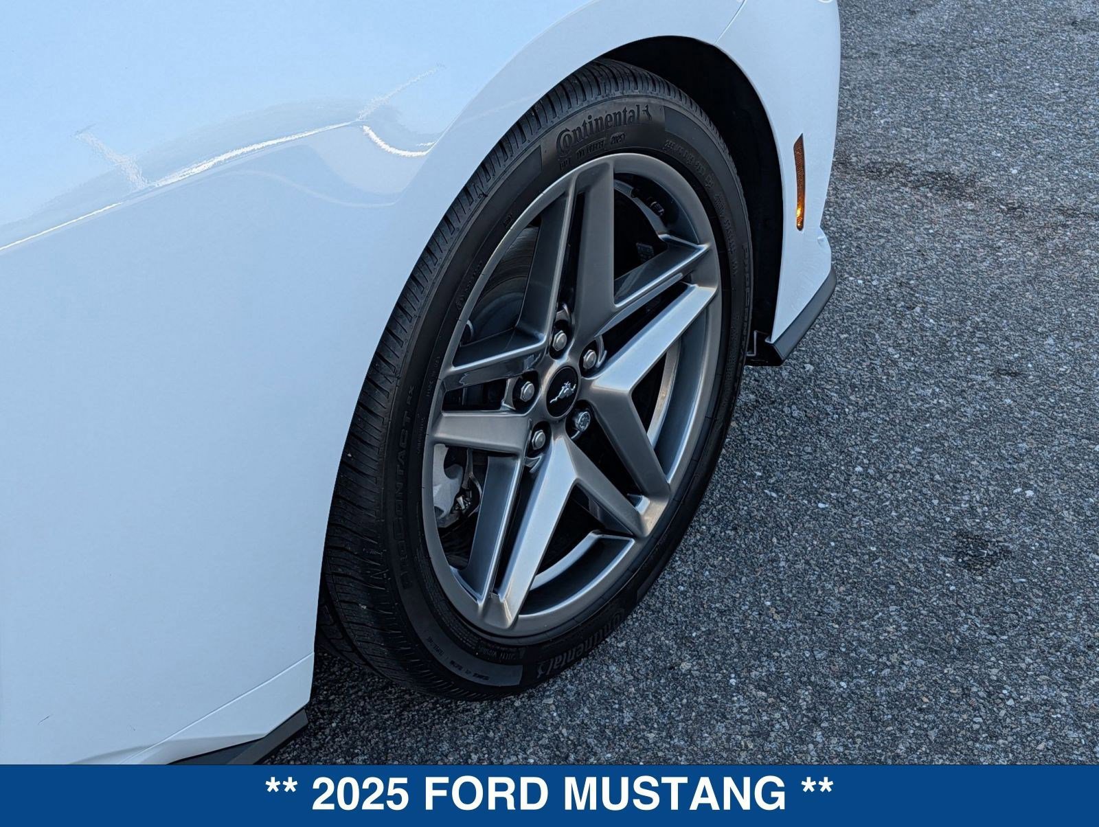 Certified 2025 Ford Mustang Premium image 12