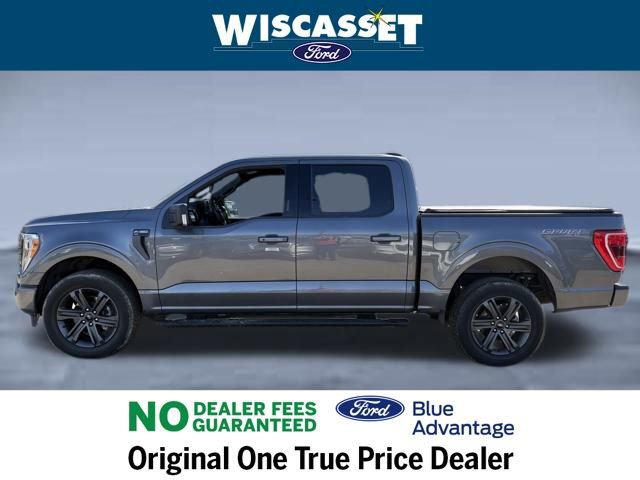 Certified 2023 Ford F150 XLT w/ Equipment Group 302A High image 2