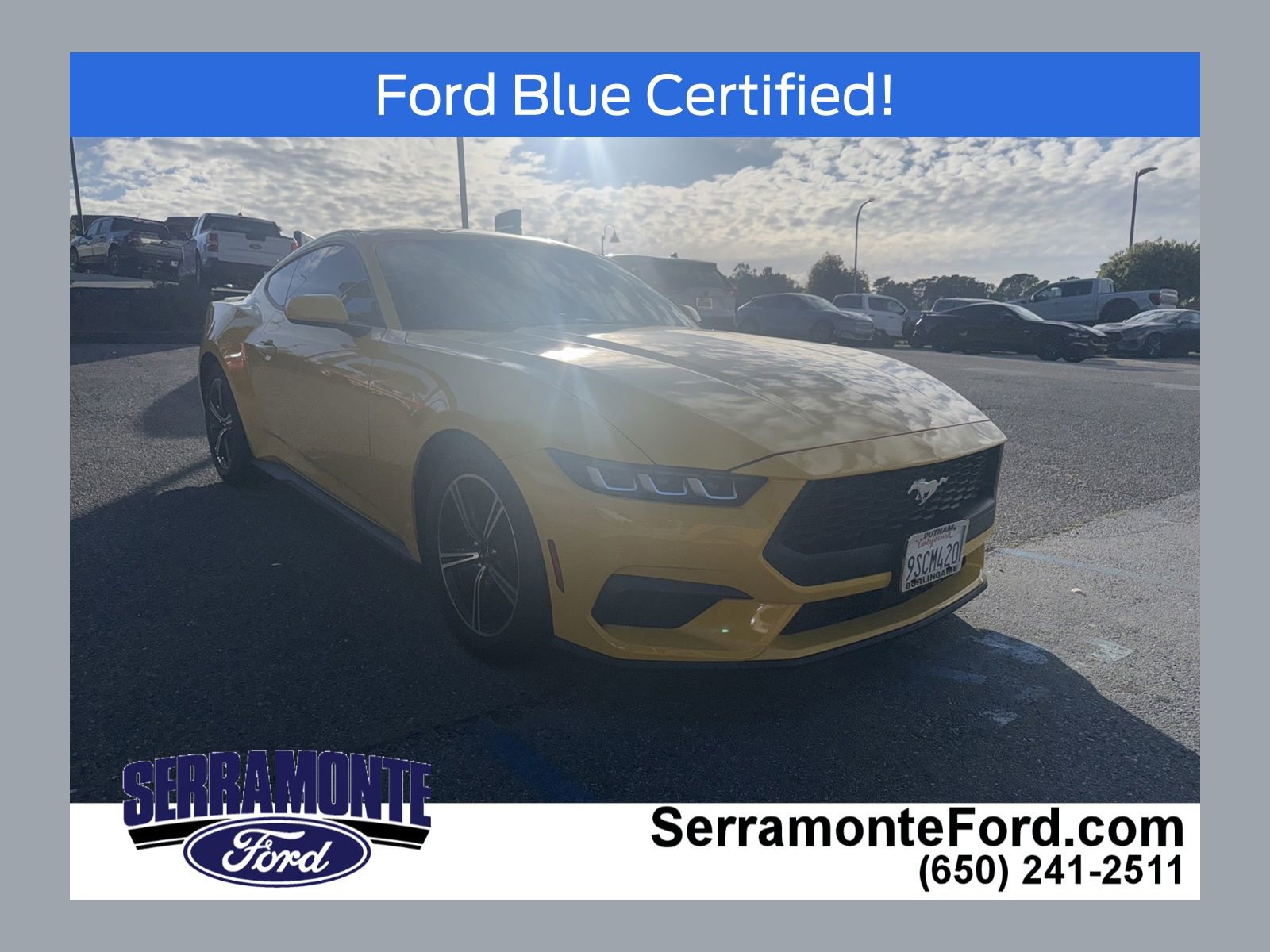 Certified 2024 Ford Mustang Premium image 1