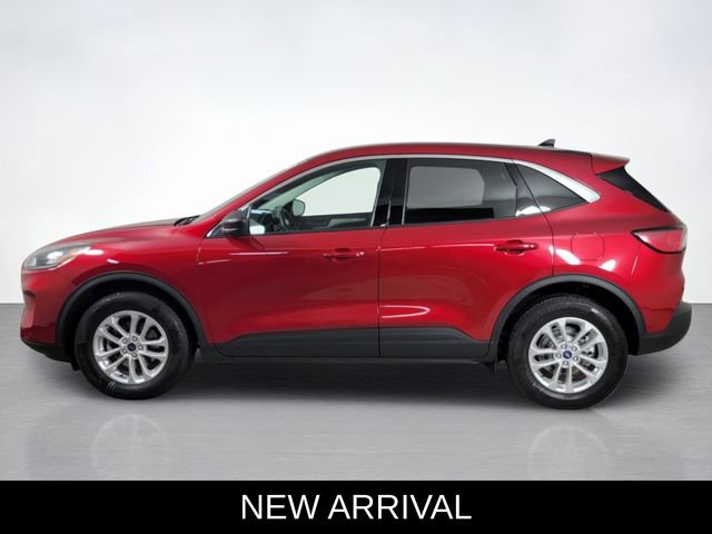 Certified 2022 Ford Escape SE w/ Cold Weather Package AWD/4WD image 6