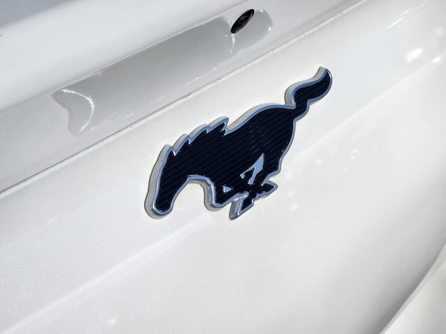 Certified 2021 Ford Mustang Mach-E Premium image 19