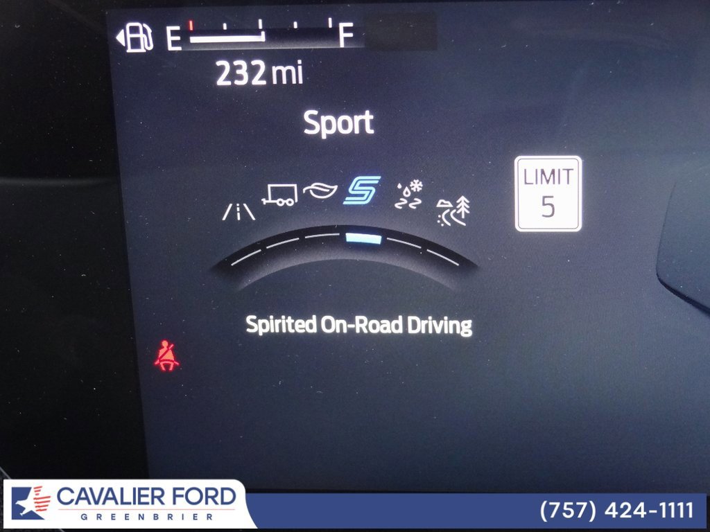 Certified 2025 Ford Expedition Active image 29