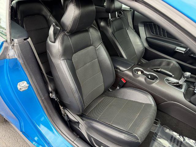 Certified 2019 Ford Mustang Premium RWD image 8