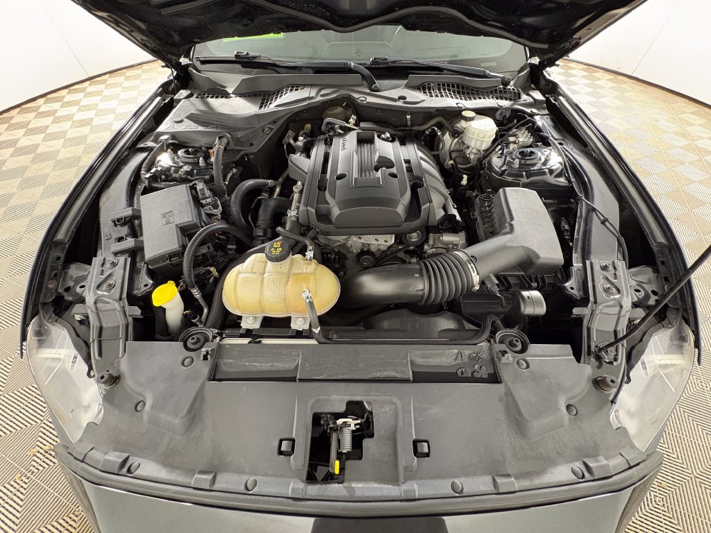 Certified 2019 Ford Mustang Premium RWD image 31