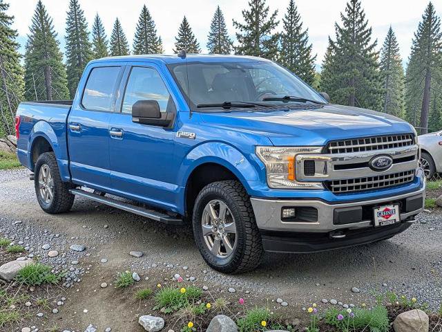 Certified 2019 Ford F150 XLT w/ Equipment Group 302A Luxury AWD/4WD image 8
