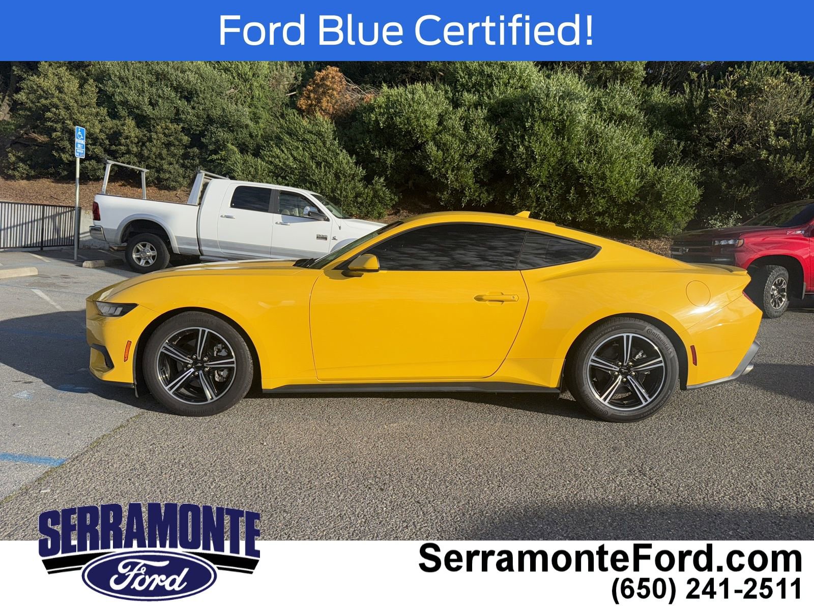 Certified 2024 Ford Mustang Premium image 6