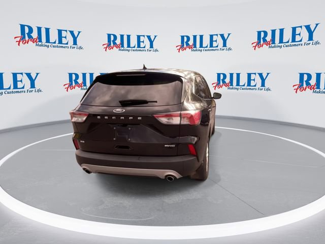 Certified 2022 Ford Escape SE w/ Cold Weather Package AWD/4WD image 8