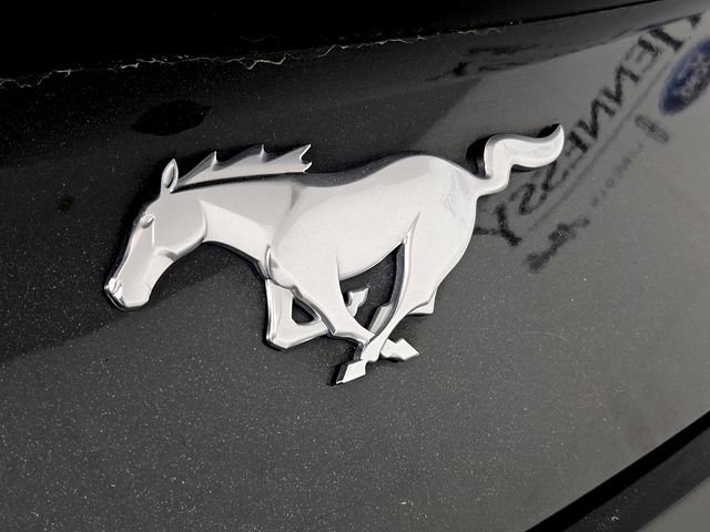 Certified 2024 Ford Mustang Premium RWD image 29