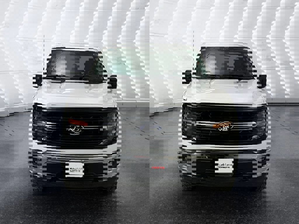 Certified 2025 Ford F150 XLT w/ Equipment Group 301A Standard image 6