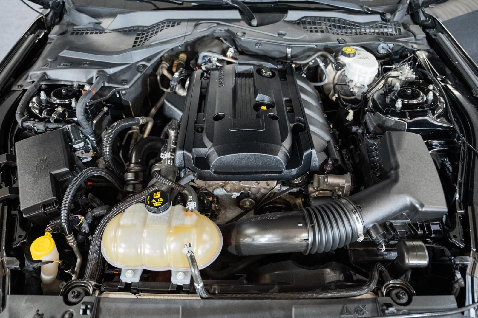 Certified 2018 Ford Mustang Coupe RWD image 13