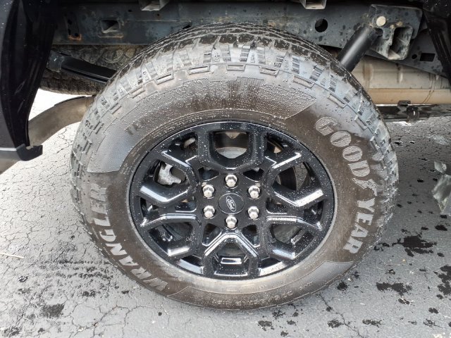 Certified 2024 Ford F150 XLT w/ Equipment Group 302A MID AWD/4WD image 7