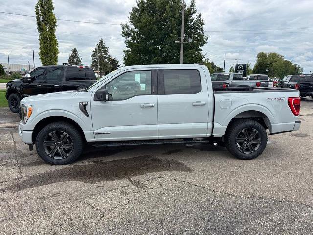Certified 2023 Ford F150 XLT w/ Equipment Group 302A High AWD/4WD image 3