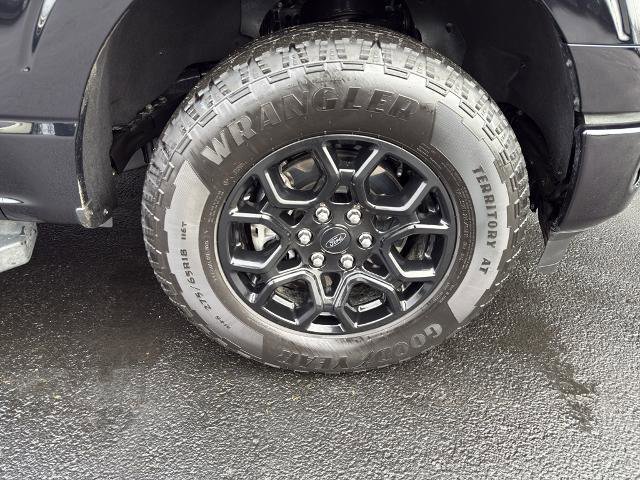 Certified 2025 Ford F150 XLT w/ Equipment Group 302A MID image 10