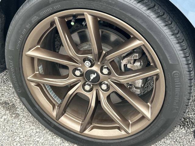 Certified 2024 Ford Mustang Premium RWD image 12
