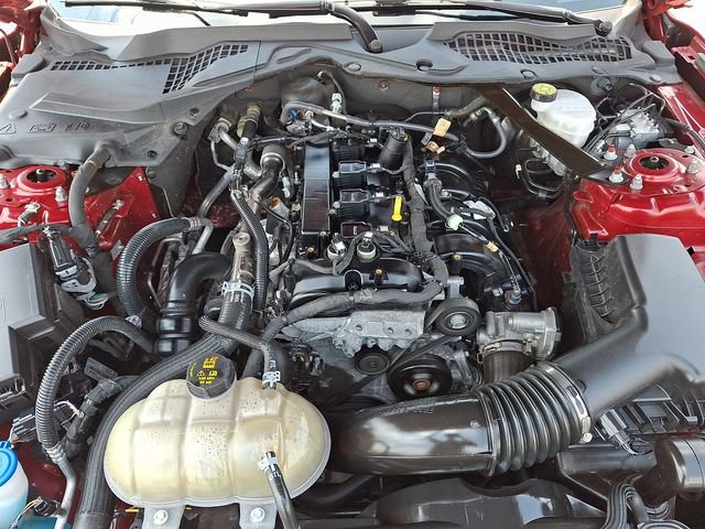 Certified 2021 Ford Mustang Premium w/ Equipment Group 201A RWD image 27
