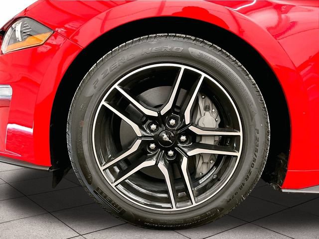 Certified 2019 Ford Mustang GT RWD image 8