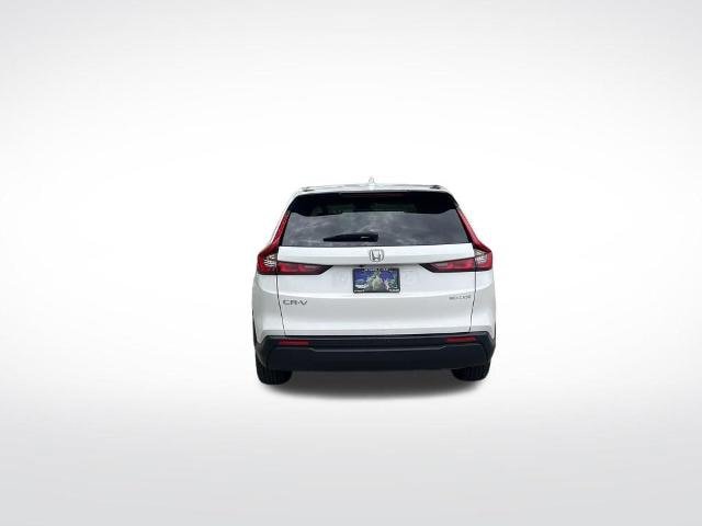 Used 2025 Honda CR-V EX image 7