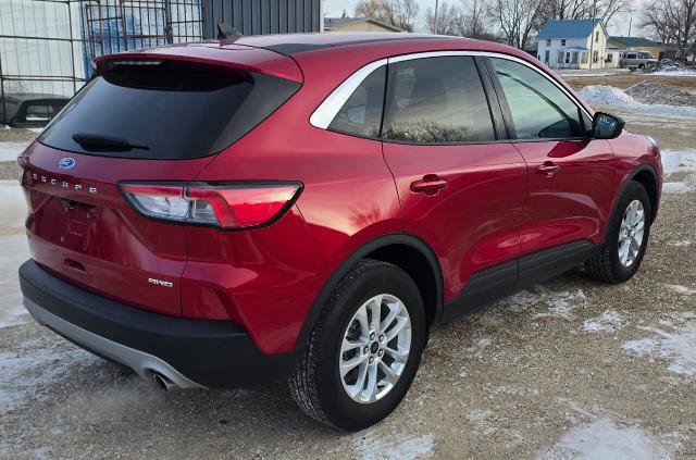 Certified 2022 Ford Escape SE w/ Convenience Package image 5