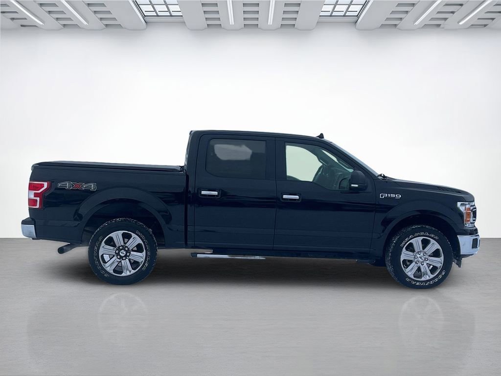 Certified 2019 Ford F150 XLT w/ Equipment Group 302A Luxury image 6