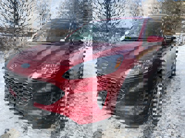 Certified 2020 Ford Escape SE image 2