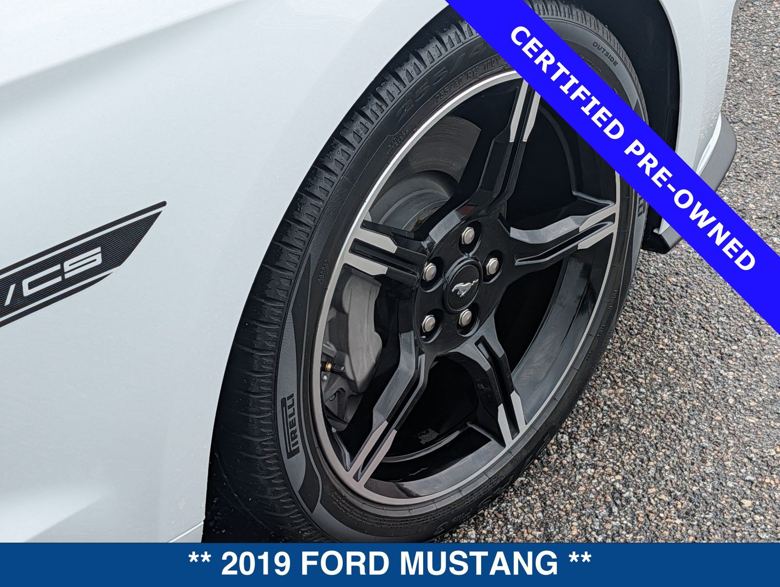 Certified 2019 Ford Mustang GT Premium w/ Equipment Group 401A RWD image 13