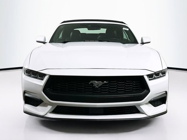 Certified 2024 Ford Mustang Premium RWD image 3