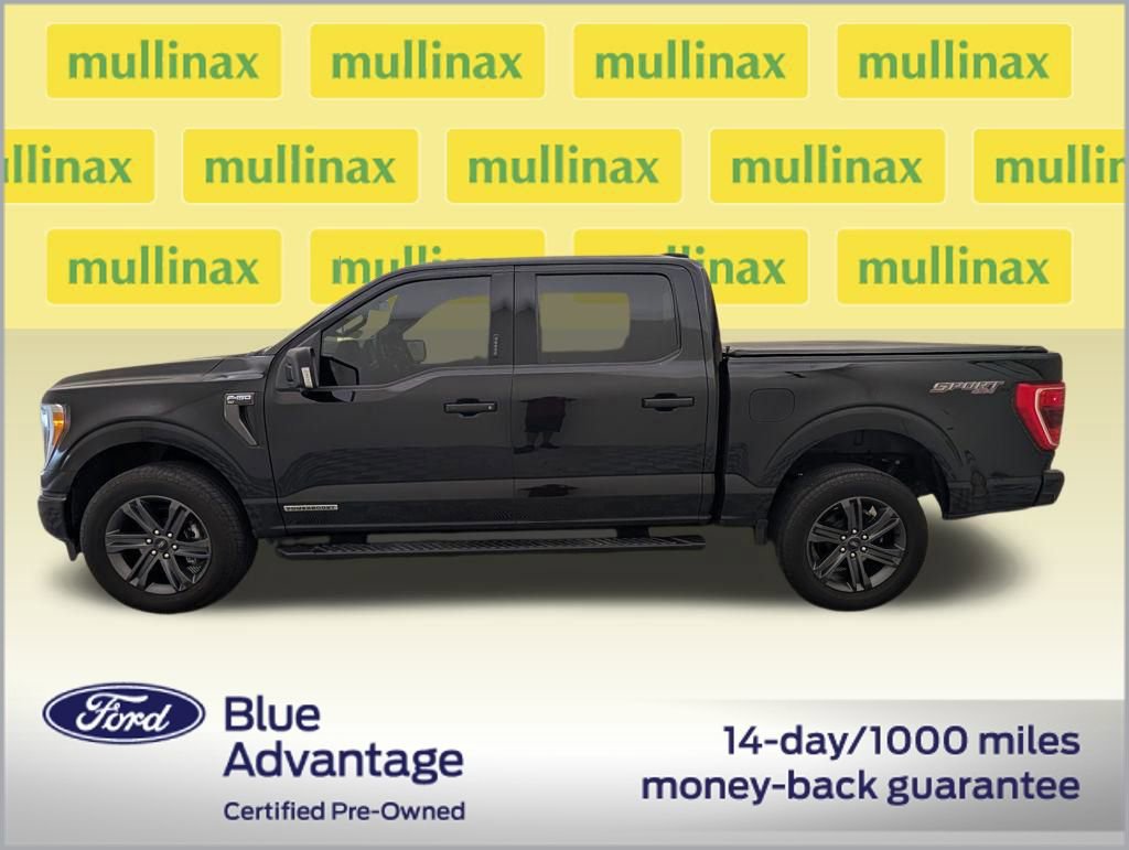 Certified 2023 Ford F150 XLT w/ Equipment Group 302A High image 2