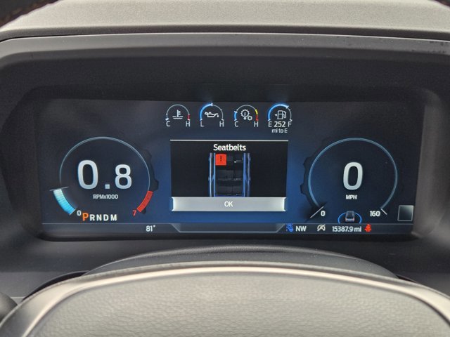 Certified 2024 Ford Expedition Platinum image 13