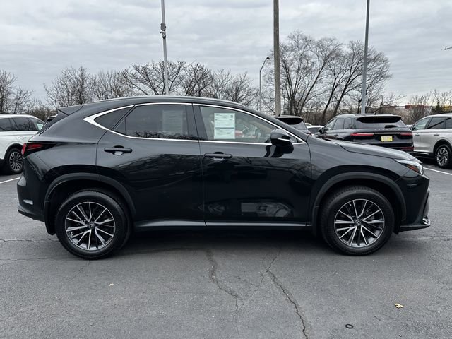 Used 2023 Lexus NX 350 AWD w/ Cold Area Package image 6