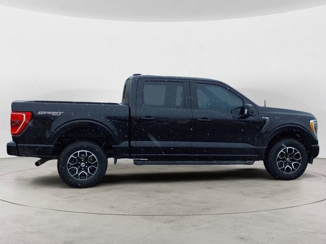 Certified 2023 Ford F150 XLT w/ Equipment Group 302A High AWD/4WD image 6