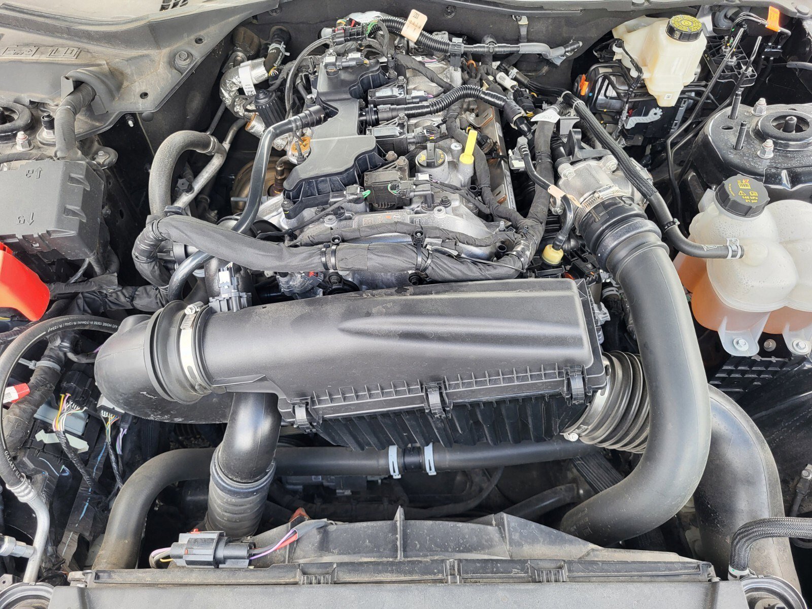 Certified 2024 Ford Mustang Premium image 31