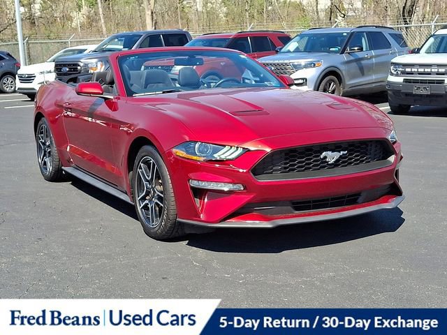 Certified 2019 Ford Mustang Convertible w/ Equipment Group 101A image 11