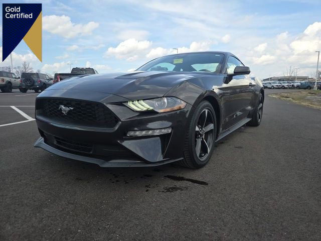 Certified 2023 Ford Mustang EcoBoost w/ Equipment Group 101A image 1