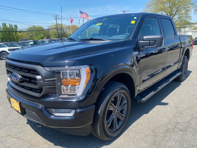 Certified 2023 Ford F150 XLT w/ Equipment Group 302A High AWD/4WD image 3