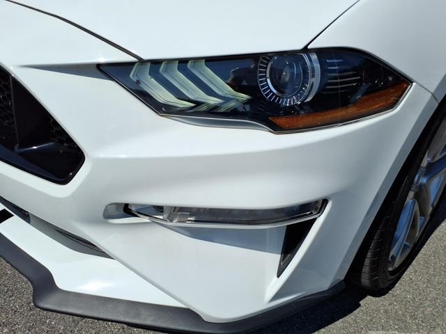 Certified 2023 Ford Mustang GT Premium w/ Equipment Group 401A RWD image 4