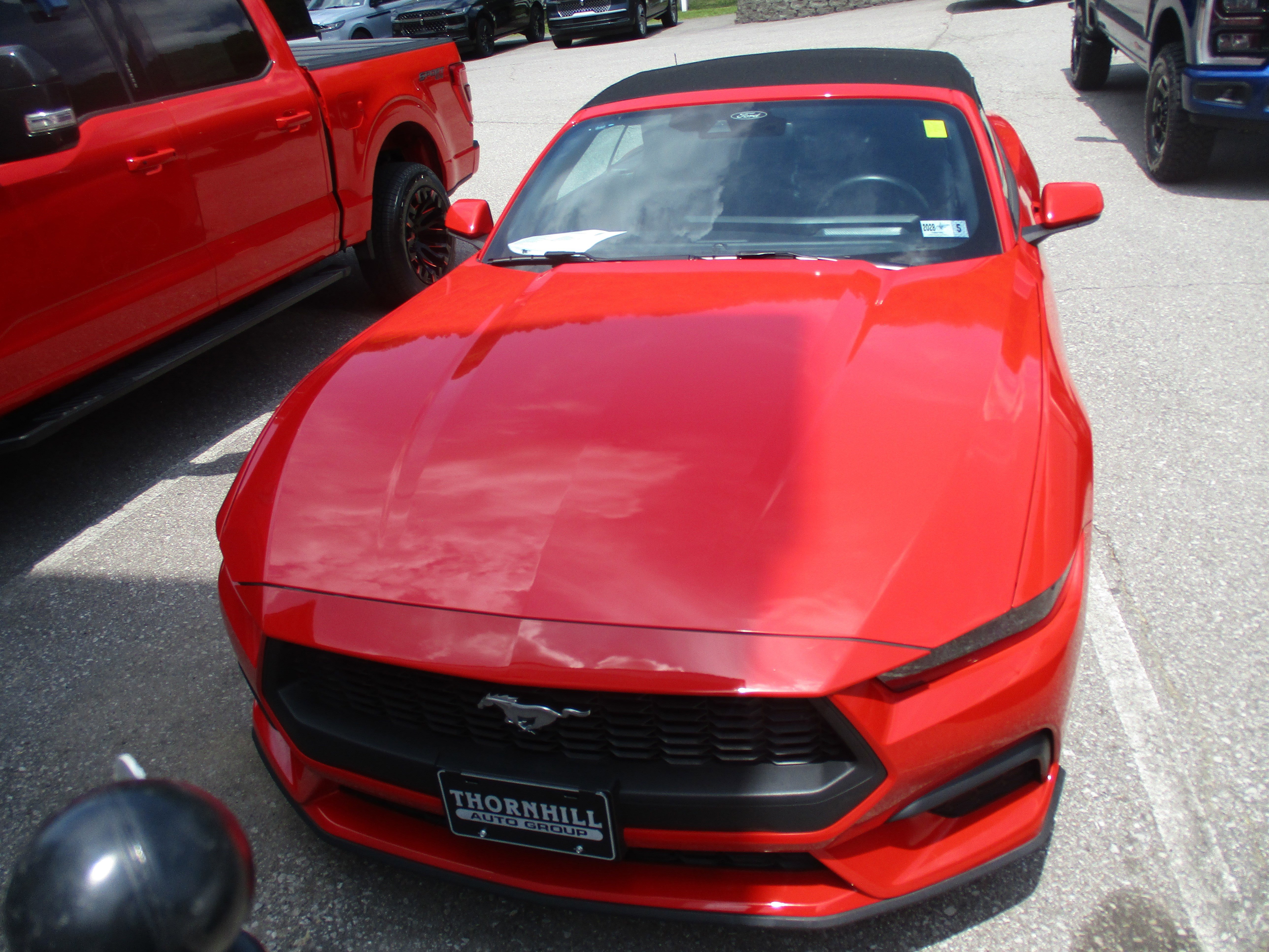 Certified 2025 Ford Mustang Premium RWD image 7