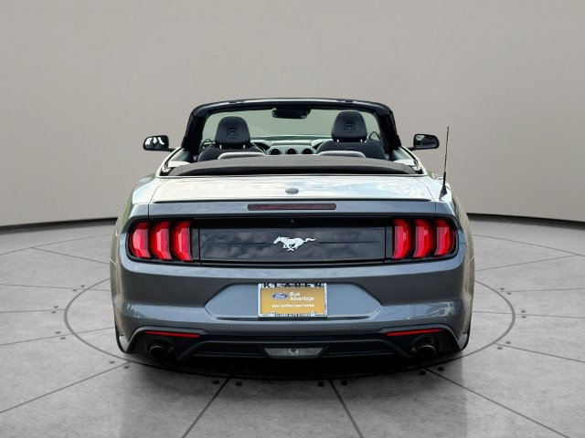 Certified 2022 Ford Mustang Premium w/ Ford Safe & Smart Package RWD image 9