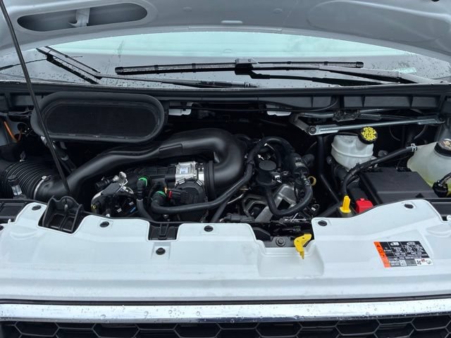 Certified 2025 Ford Transit 250 Low Roof w/ Exterior Upgrade Package RWD image 19