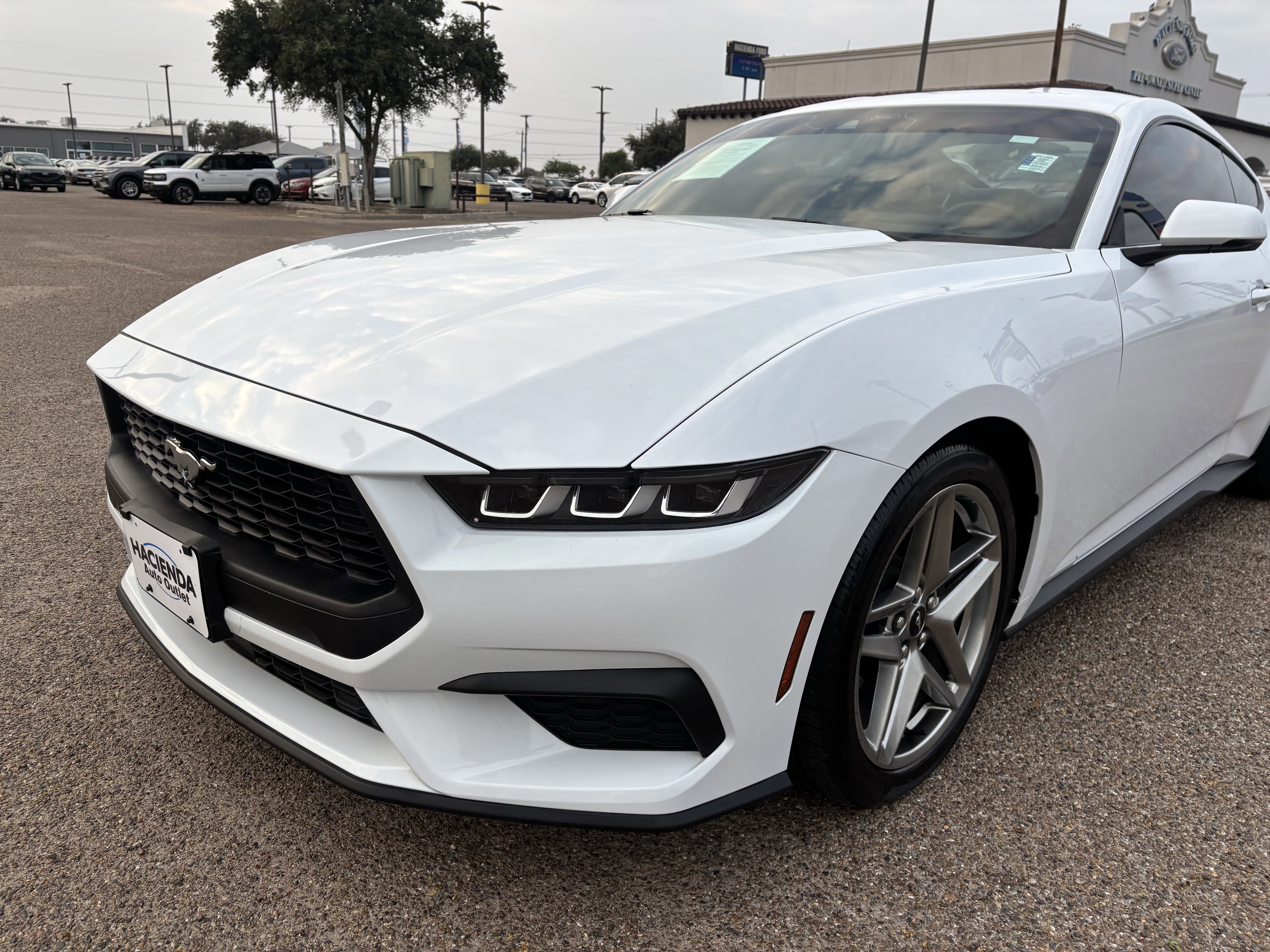 Certified 2024 Ford Mustang Premium image 2