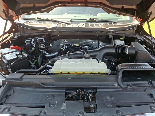 Certified 2023 Ford F150 XLT w/ Equipment Group 302A High AWD/4WD image 29