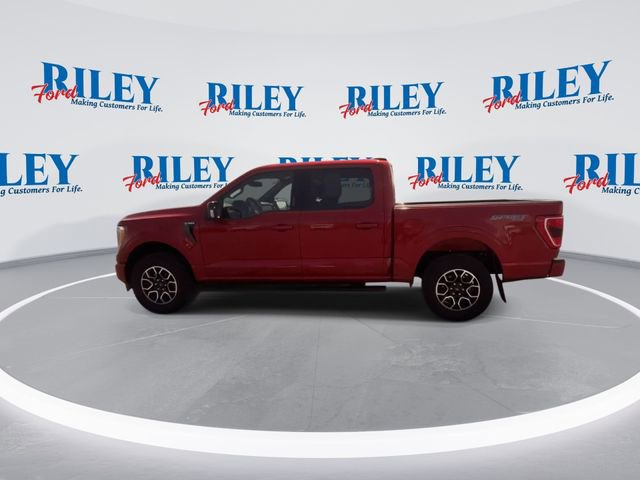 Certified 2023 Ford F150 XLT w/ Equipment Group 302A High AWD/4WD image 6