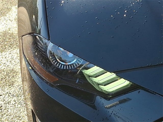 Certified 2019 Ford Mustang Bullitt w/ Bullitt Electronics Package image 9