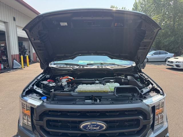 Certified 2023 Ford F150 XLT w/ Equipment Group 302A High AWD/4WD image 19