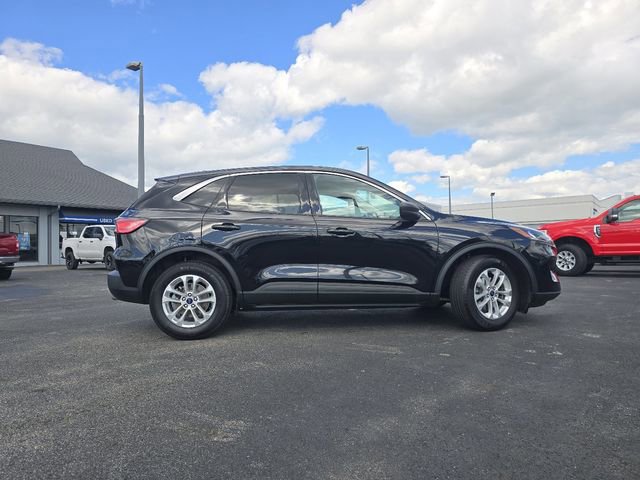 Certified 2022 Ford Escape SE w/ Cold Weather Package FWD image 16