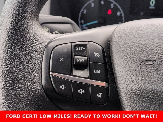 Certified 2025 Ford Transit 250 Low Roof w/ Exterior Upgrade Package RWD image 14