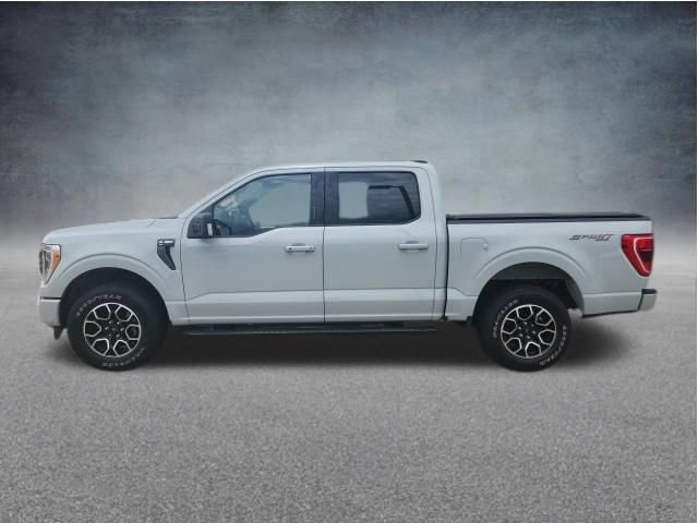 Certified 2023 Ford F150 XLT w/ Equipment Group 302A High AWD/4WD image 6