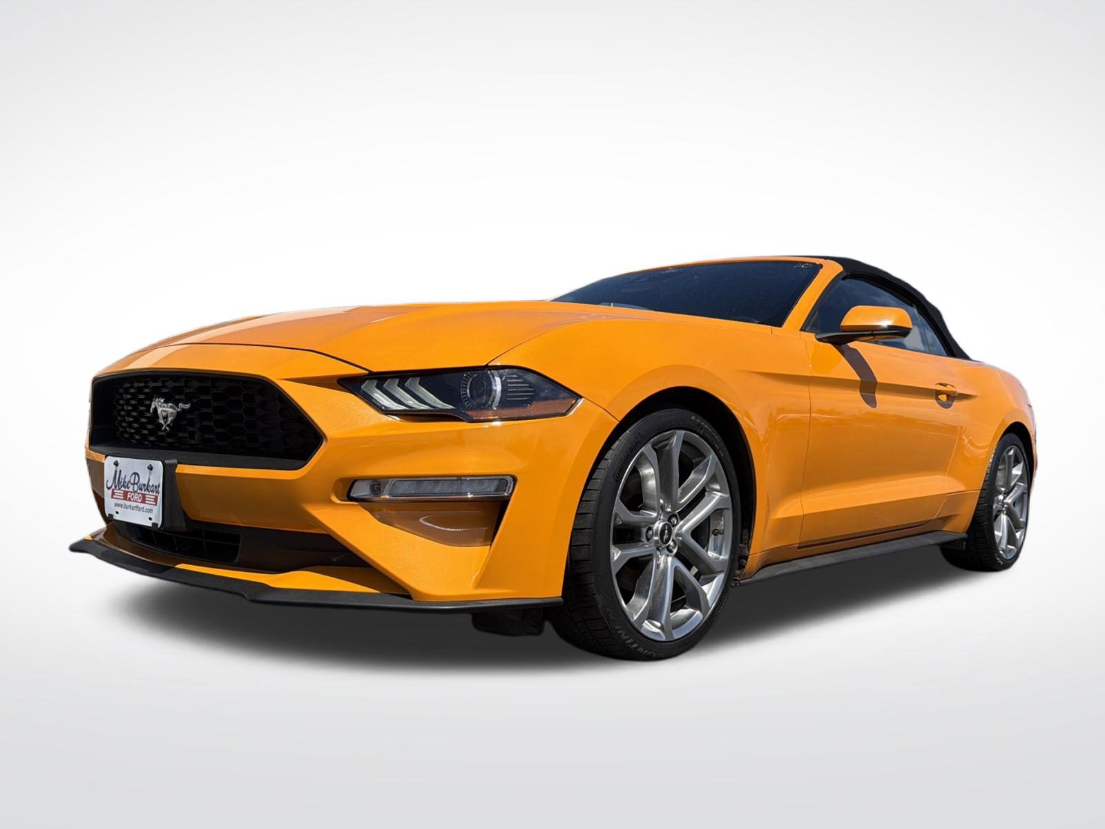 Certified 2018 Ford Mustang Premium w/ Equipment Group 201A RWD image 2