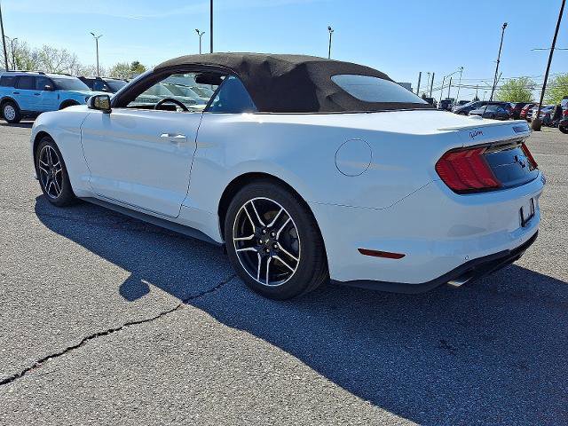 Certified 2023 Ford Mustang Premium image 3